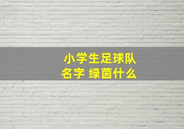 小学生足球队名字 绿茵什么